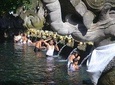 Bali Nature Countryside Tours