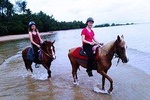 Krabi Horse Riding at The Beach
