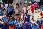 Sapa 2 Days 1 Night Bac Ha Market Tour (overnight In Hotel)