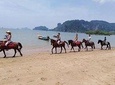 Krabi Horse Riding Tour at Ao Nam Mao Beach