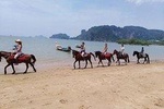 Krabi Horse Riding Tour at Ao Nam Mao Beach