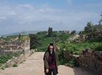 Umm Qais, Jerash & Ajloun Castle Day Tour from Amman