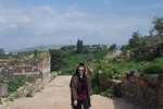 Umm Qais, Jerash & Ajloun Castle Day Tour from Amman
