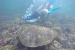 6-Day Trip in San Cristobal & Santa Cruz Islands Galapagos Land-based/Low budget