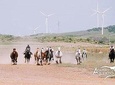 A CAMPO ABIERTO Visit Alvaro Domecq horses and brave bulls in freedom