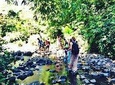 trip into the wild