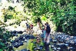 trip into the wild