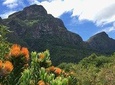 Kirstenbosch National Botanical Gardens Self-guided Audio Tour