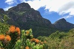 Kirstenbosch National Botanical Gardens Self-guided Audio Tour