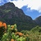 Kirstenbosch National Botanical Gardens Self-guided Audio Tour