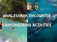 Oslob Whale shark swimming & Canyoneering Adventure, Kawasan Falls Day Tour
