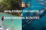 Oslob Whale shark swimming & Canyoneering Adventure, Kawasan Falls Day Tour