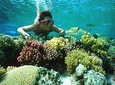Snorkeling by Boat to Ras Mohamed