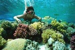 Snorkeling by Boat to Ras Mohamed