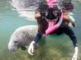 Manatee Snorkeling Tours