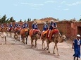 Sunset Tour & Dromedary Ride At Palm Grove Of Marrakech
