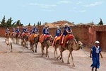 Sunset Tour & Dromedary Ride At Palm Grove Of Marrakech