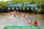 SoCoHo Half Day Jeep Safari- Mangrove Kayak & Reef Snorkeling