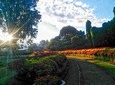 Private one-day tour to Kandy from Colombo or Negombo 
