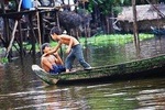 Kompong Phluk - Private Floating Village & Flooded Forest Tour from Siem Reap