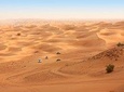 Liwa Full Day Desert Safari from Abu Dhabi
