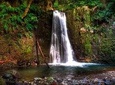 Full Day Hiking Faial da Terra (Min. 4 persons)