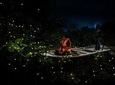 The Perfect Place for Magic:Kuala Selangor Fireflies Tour (Private)
