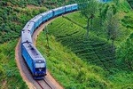 Sri Lanka Privet Round Tour/12 days with driver+vehicle+accommodation H/B Basis