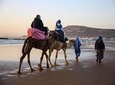 Sunset Camel Ride In The Beautiful Beach of Agadir