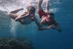 Snorkeling trip in Red Sea