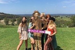 A Full Day Hunter Valley Wine Tasting Tour with Lunch and Tasting Fee's Included