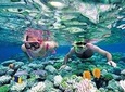 Puerto Morelos Reef Snorkeling Tour with Cancun Pickup
