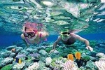 Puerto Morelos Reef Snorkeling Tour with Cancun Pickup