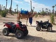 Palm Grove quad bike and camel ride tour