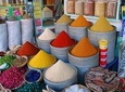 Marrakech Guided Sightseeing Tours In Marrakech
