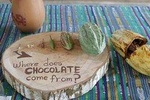 Eden Chocolate Tasting Experience