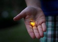 Fireflies Santuary & Penarik Fishing Village from Kuala Terengganu