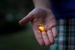 Fireflies Santuary & Penarik Fishing Village from Kuala Terengganu