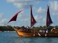 Full day private charter to ile aux cerfs including lunch with Sirene D'or