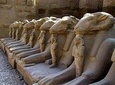 Tour to The East & West Bank of the Nile