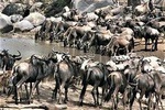 Twelve Days: Tarangire-manyara-ngorongor0-serengeti (classic)