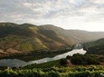 Our magnificent Douro Valley