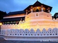 SriLanka Cultural Tour/6 days+Friendly driver+vehicle+accommodation H/B basis