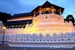 SriLanka Cultural Tour/6 days+Friendly driver+vehicle+accommodation H/B basis