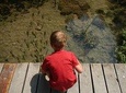 Transfer from Dubrovnik to Krka waterfalls