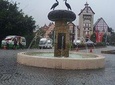 Colmar Tropicale Day Tour