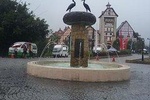 Colmar Tropicale Day Tour