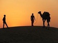 An Non Touristic Half Day Camel Safari