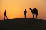 An Non Touristic Half Day Camel Safari