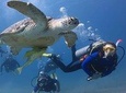 Hurghada Diving 